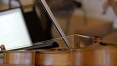 violin_thumb